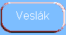 Vesla�sk� klub Otrokovice